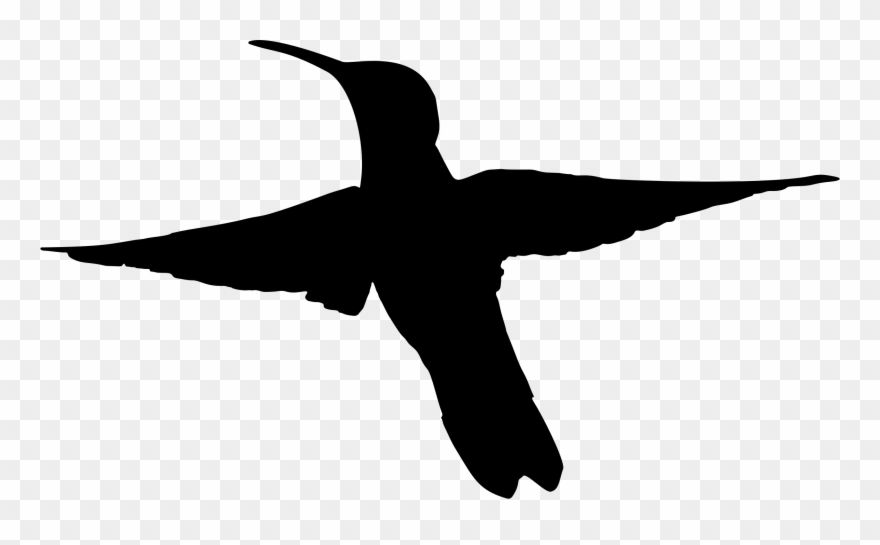 880x545 Hummingbird Silhouette Drawing Art