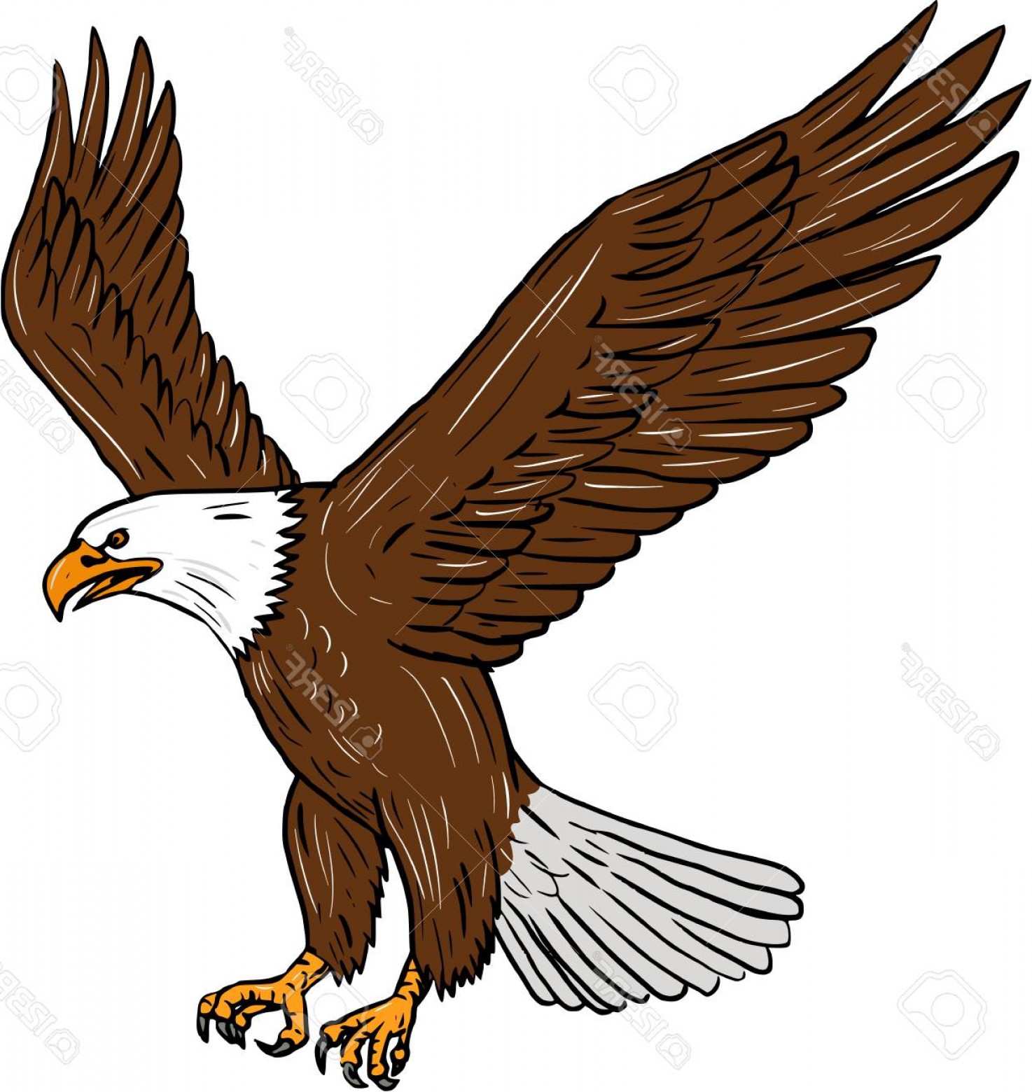 Eagle In Flight Drawing | Free download on ClipArtMag