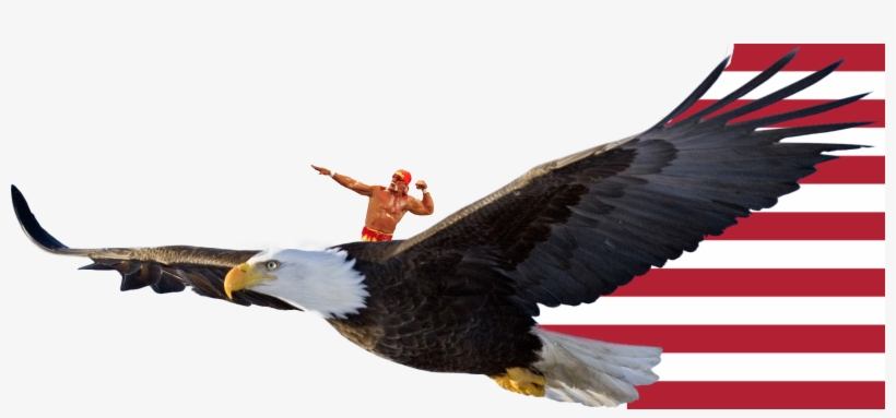 820x383 Upvote This Image Of Hulk Hogan Riding A Bald Eagle