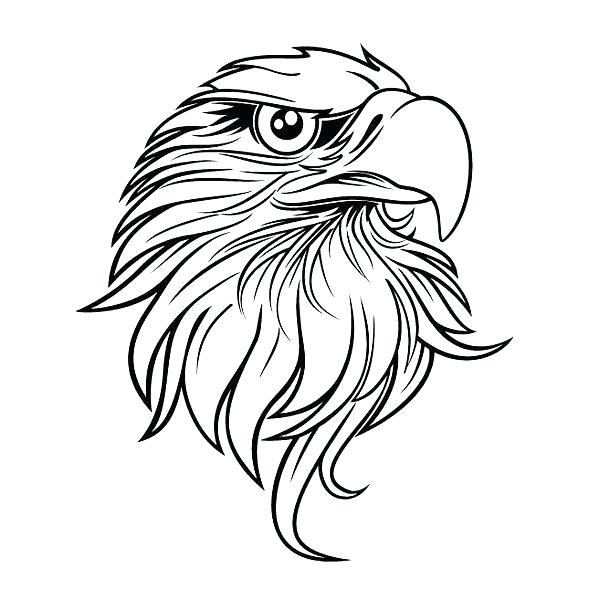 Eagle In Flight Drawing | Free download on ClipArtMag