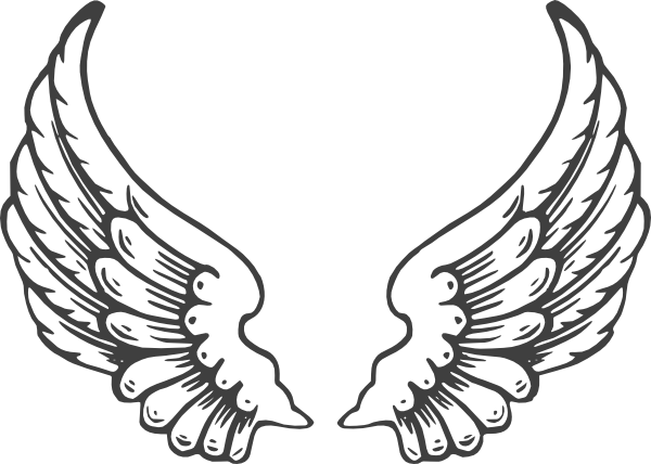 600x428 Collection Of Free Eagles Vector Eagle Wings Download On Ui Ex