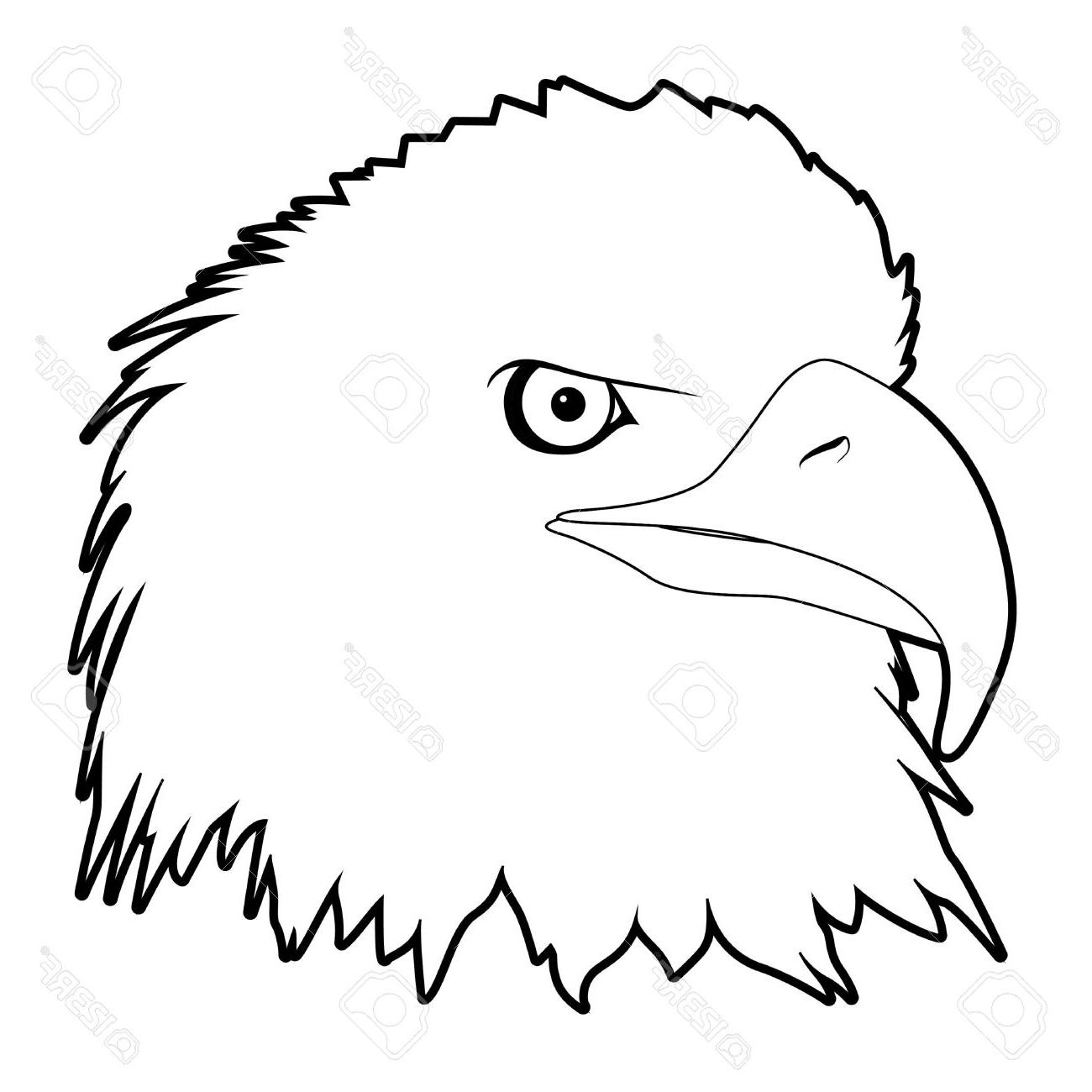 1300x1300 Drawn Bald Eagle Banner Drawing