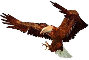 350x237 Eagle Landing Clipart