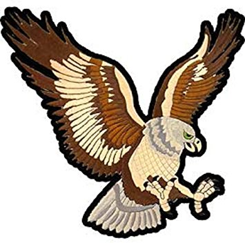 355x355 Hawk Clipart Eagle Landing