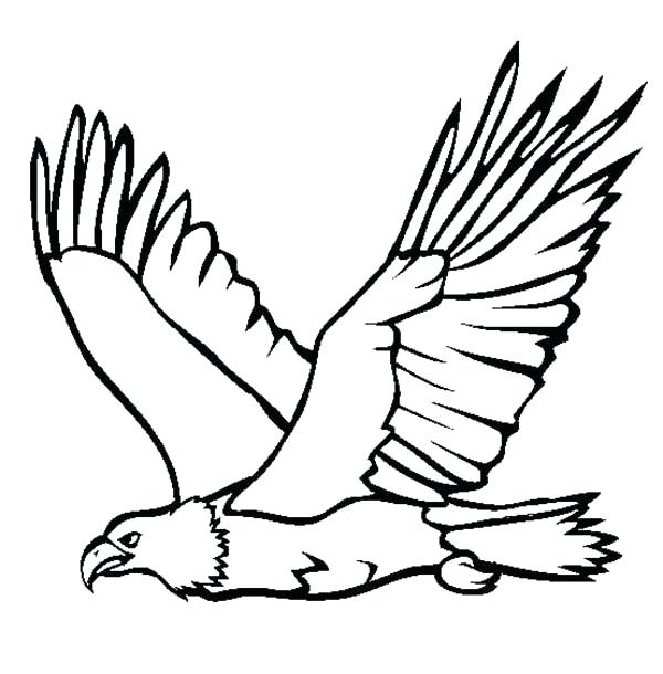 Eagle Landing Drawing | Free download on ClipArtMag