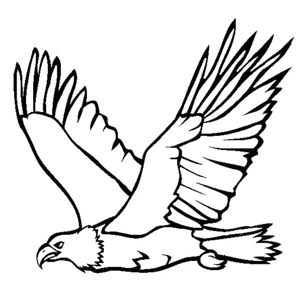 600x610 How To Draw A Simple Eagle