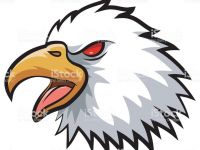 200x150 bald eagle clip art beautiful bald eagle line drawing