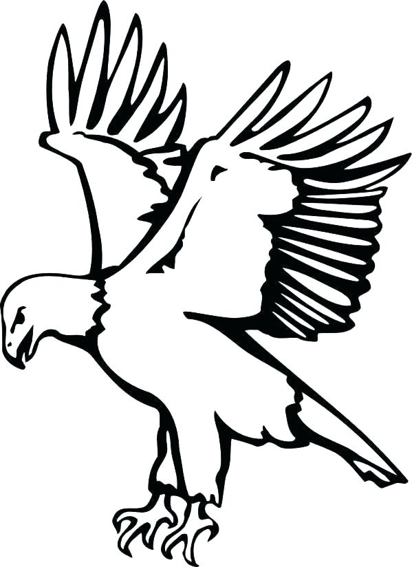 599x824 bald eagle pictures to color bald eagle line drawing pencil