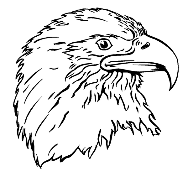 600x546 Eagles Mascot Decal Sticker