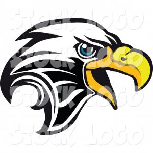 300x300 Eagle Head Mascot Drawing Vector Shopatcloth
