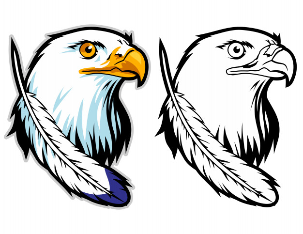626x483 The Head Of An Eagle With Feather Sport Logo Mascot Vector