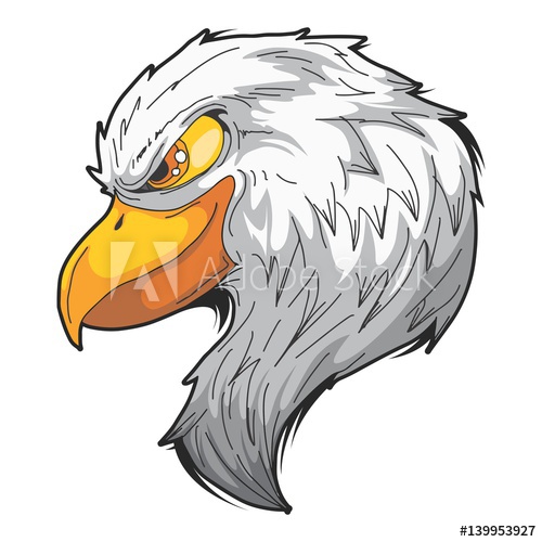 500x500 Hand Drawing Eagle Head Mascot