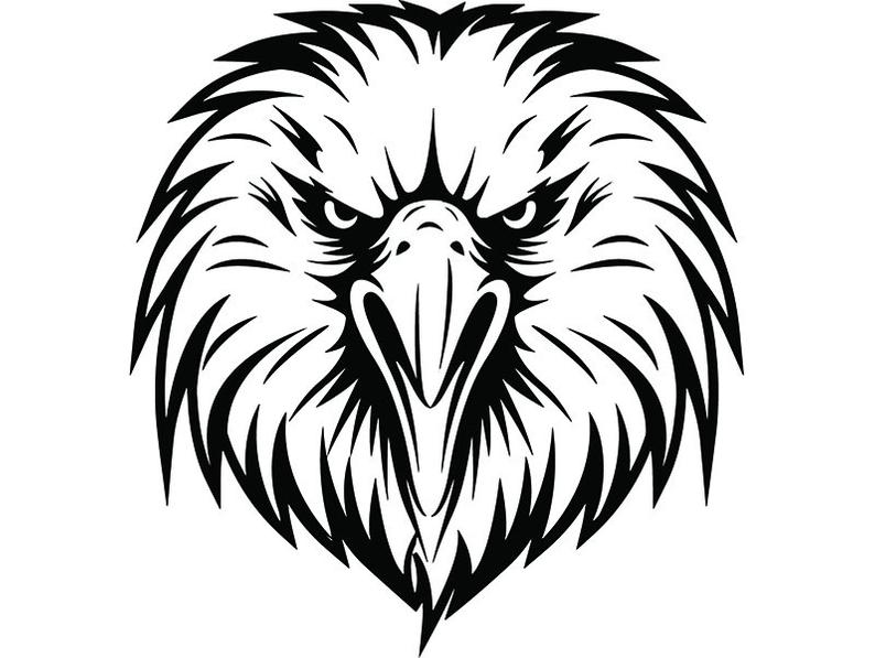794x597 Bald Eagle American Bird Head Face Cartoon College High Etsy