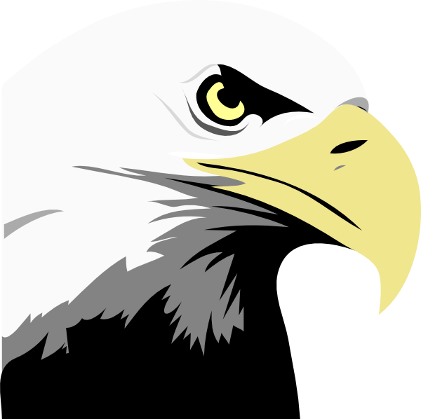 600x598 Drawing Eagles Colored Pencil Transparent Png Clipart Free