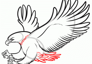 300x210 Easy Pencil Drawings Of Eagle Birds Flying Eagle Pencil Drawing