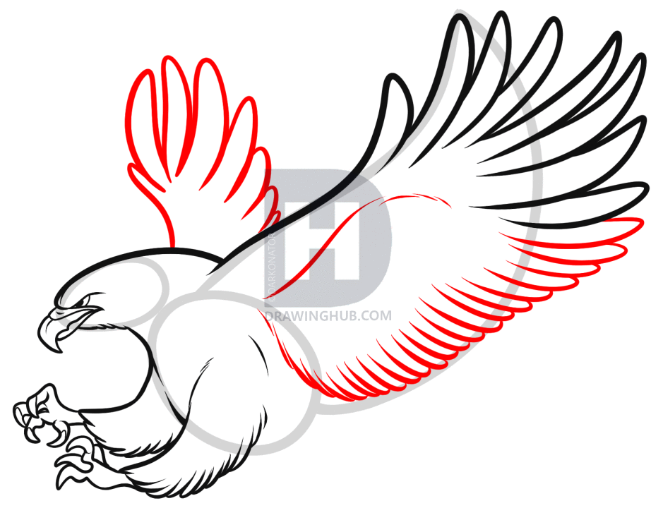 939x720 How To Sketch An Eagle In Pencil, Draw An Eagle Bird, Step