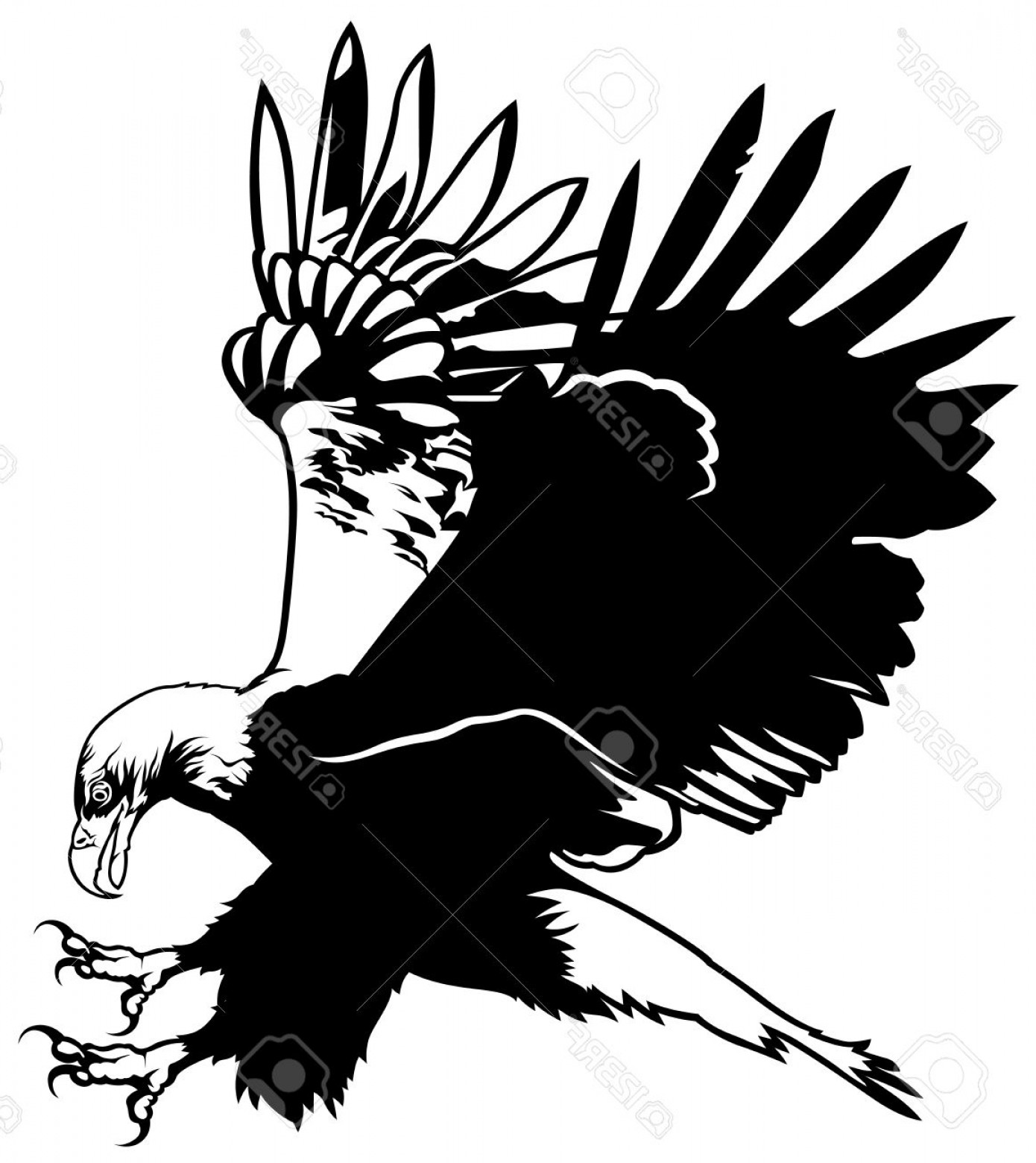 1390x1560 Eagle Clipart Black Outline Collection