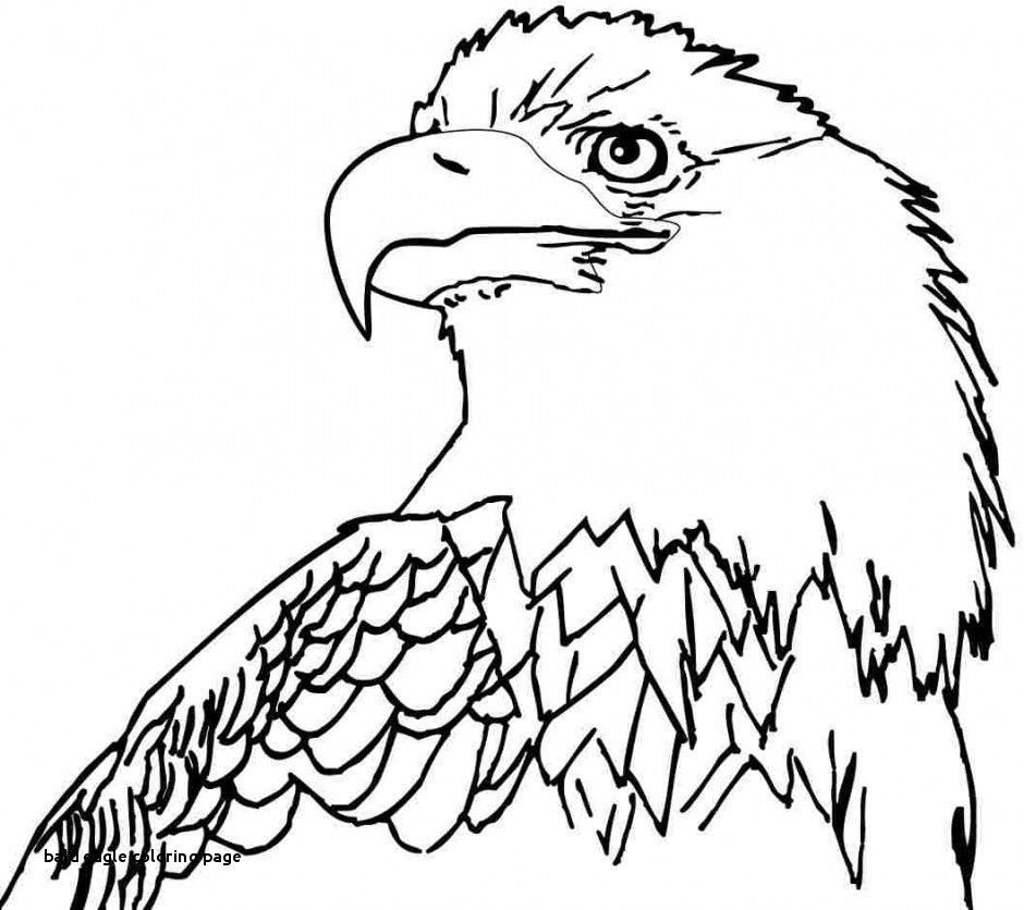 940x836 Elegant Soaring Eagle Coloring Pages