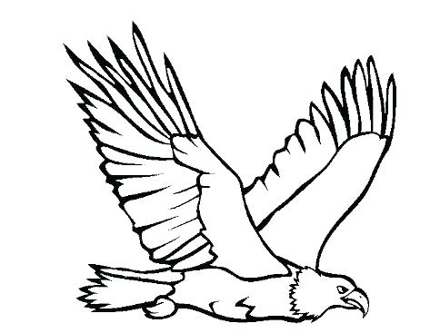 484x367 North Bald Eagle Coloring Pages Printable