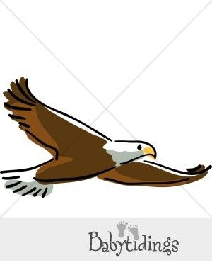 300x388 Soaring Eagle Clip Art Free Eagles Clip Art, Art, Free