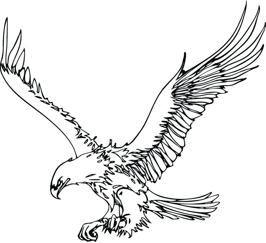 900x820 bald eagle outline drawn bald eagle outline x