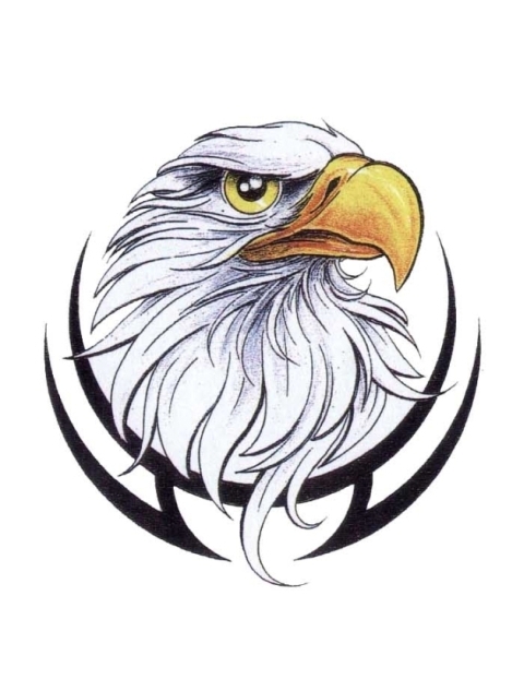 480x622 American Eagle Head In Black Tribal Frame Tattoo Design