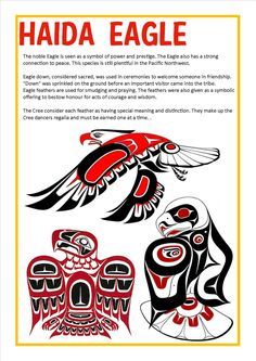236x333 Draw Haida Art School Haida Art, Art, Aboriginal Art