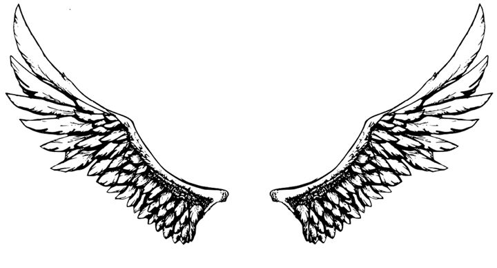 720x388 Eagle Wings