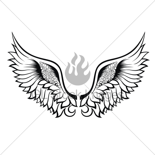 500x500 Eagle Wings Drawing