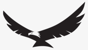 300x170 Eagle Wings Png, Transparent Eagle Wings Png Image Free Download