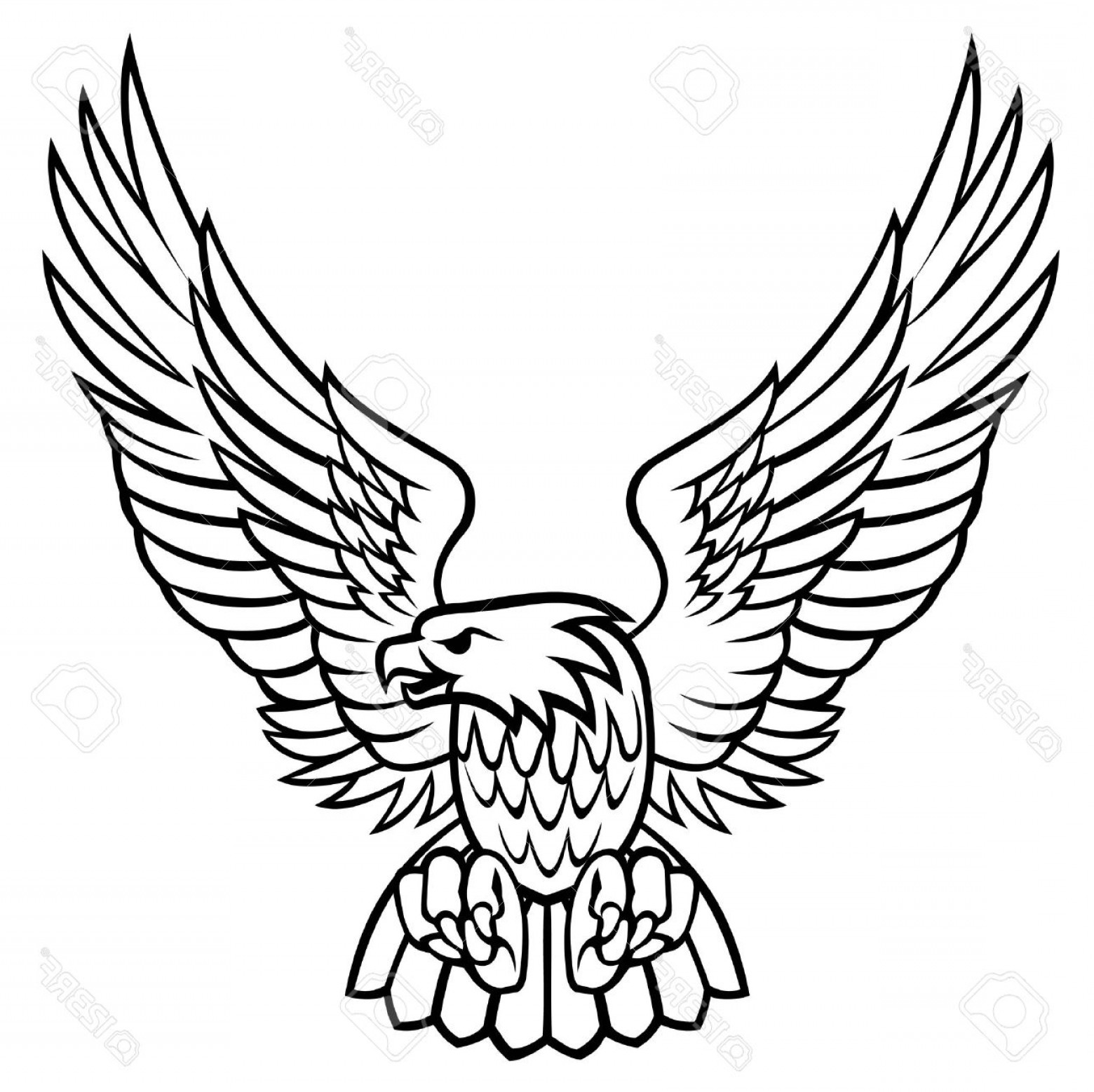 1560x1557 Eagle Wings Spread Clipart Black And White Images