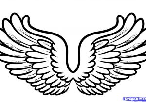 300x210 How To Draw Eagle Wings Step