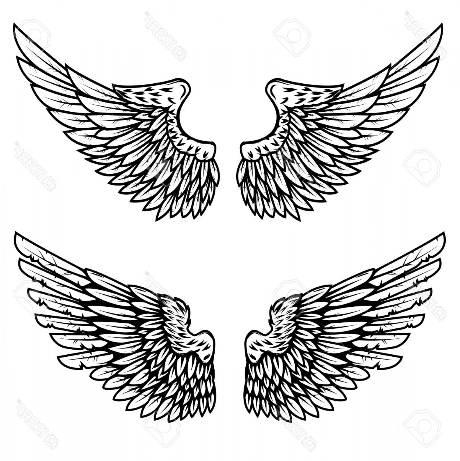 1558x1560 Photostock Vector Set Of The Eagle Wings Isolated On White