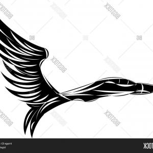 300x300 Stock Vector Vector Sketch Of Jet Fighter With Eagle Wings Soidergi