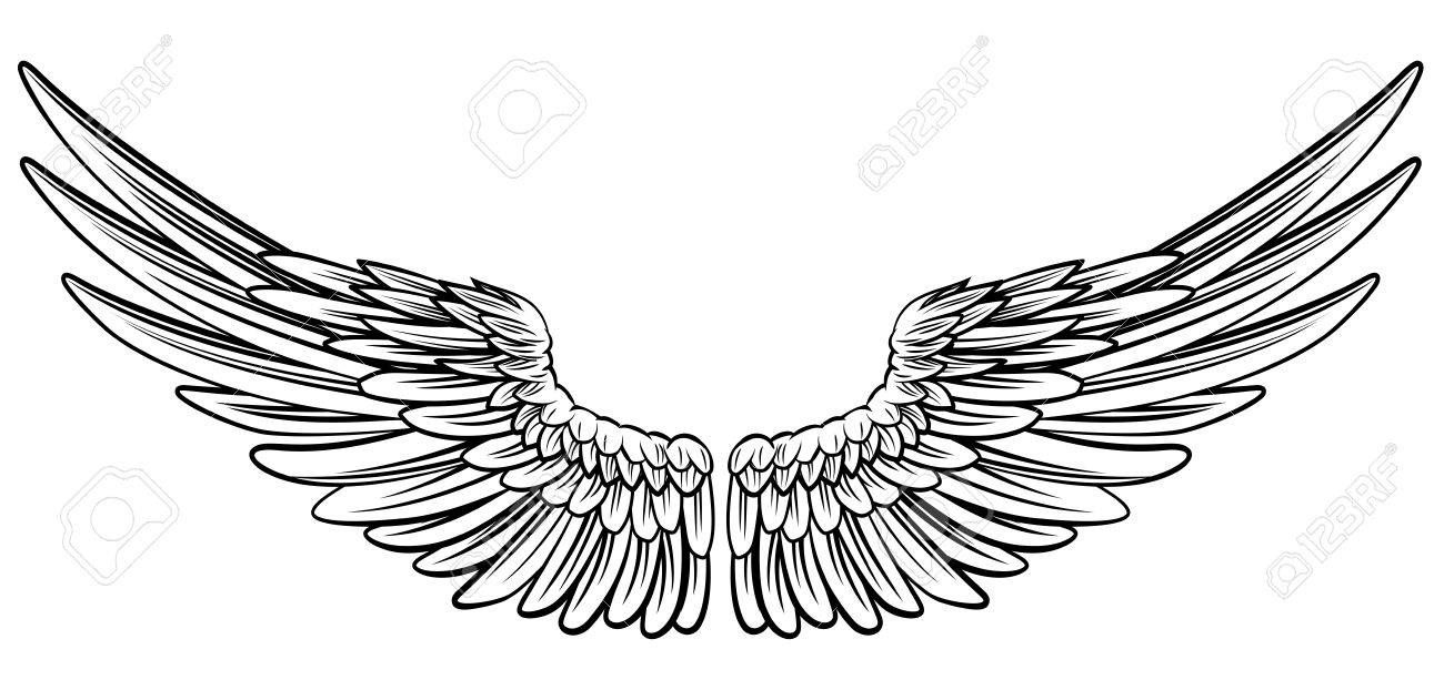 1300x631 Angel Wings