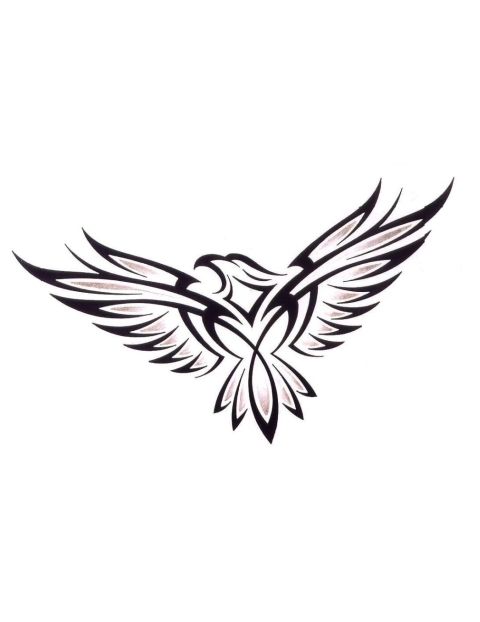480x622 Bird Outline Tattoo Eagle Wing Outline Bird With Spread Wings
