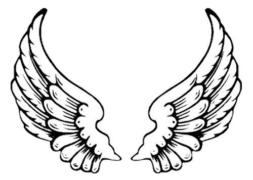500x356 Clipart Eagle Wings Outline Clipart Portal