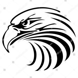 300x300 Best Free Stock Vector Eagle Head Logo Drawing Soidergi