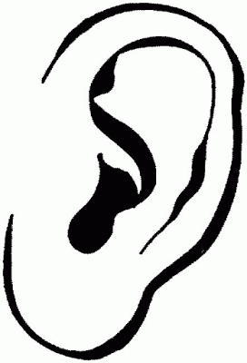 272x400 Drawing Clip Art Ear