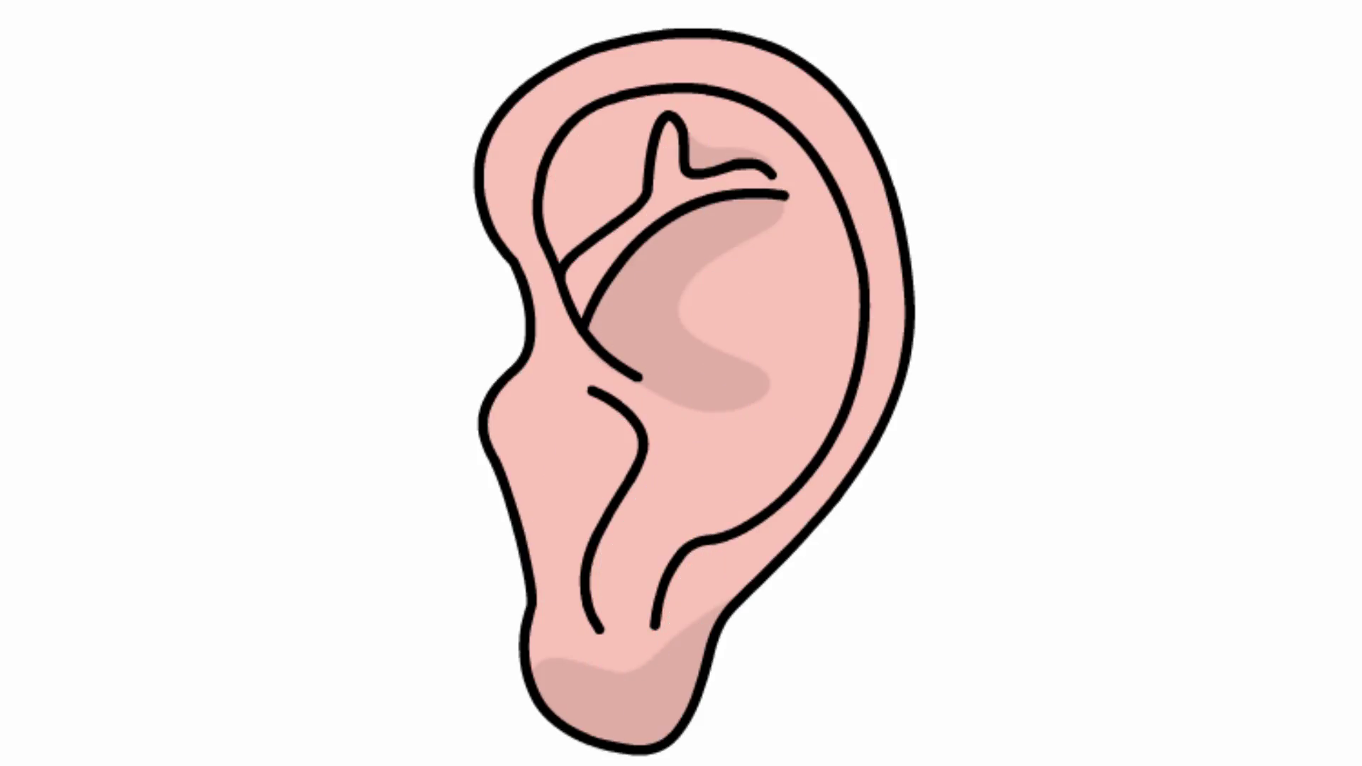 1920x1080 Ear Sketch Illustration Hand Drawn Animation Transparent Motion