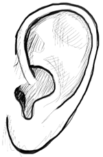150x227 How To Draw Human Ears In Profile Step