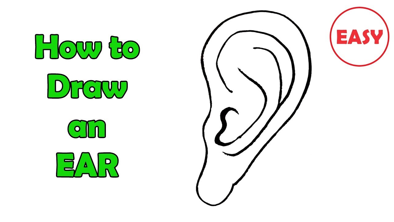 1280x720 How To Draw An Ear