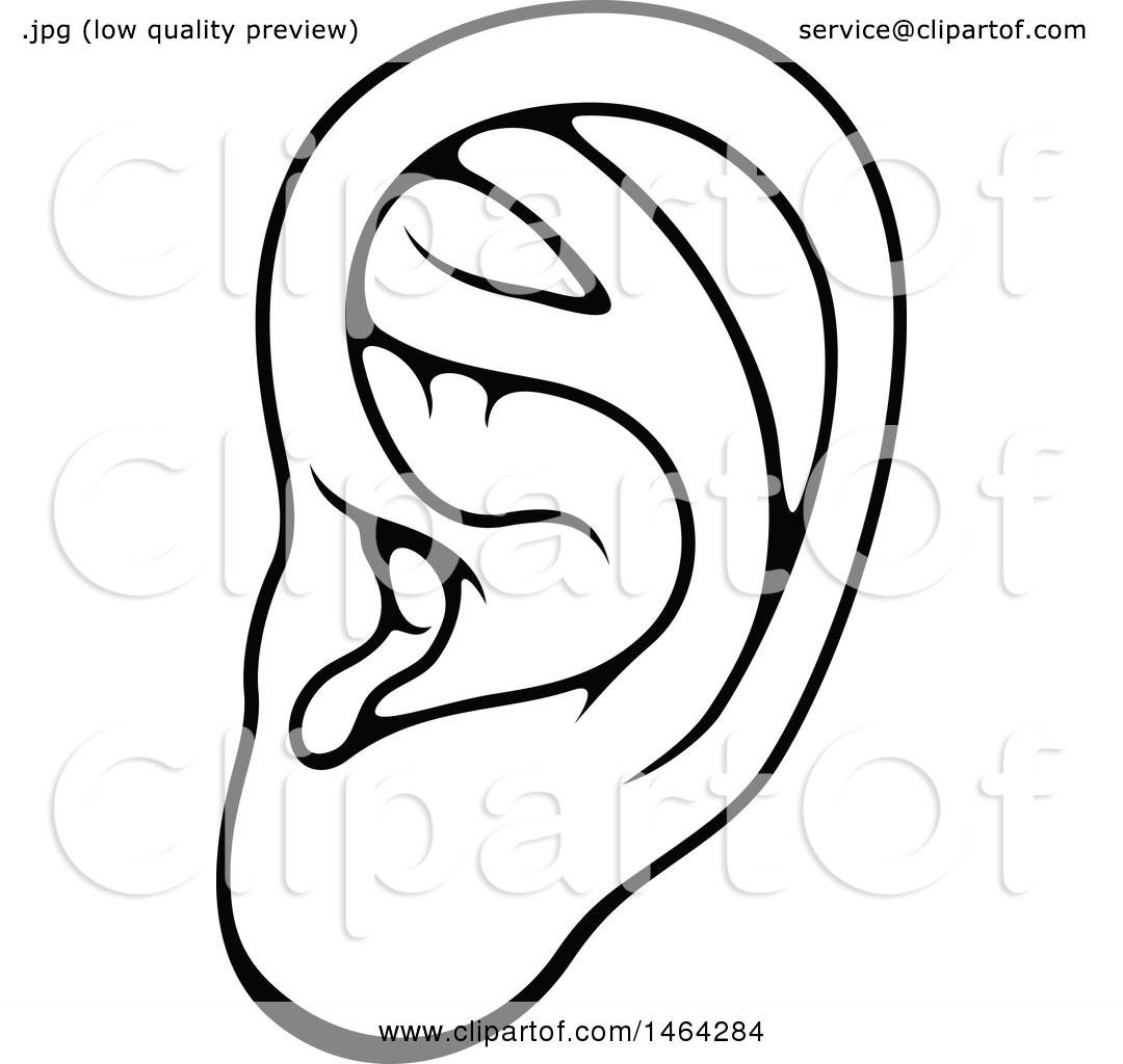 1080x1024 Ear Drawing For Free Download