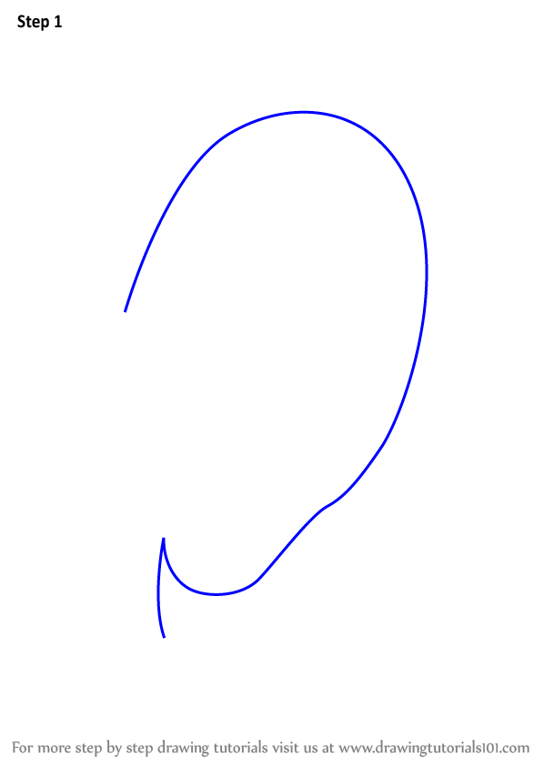 598x844 Learn How To Draw Realistic Ear With Pencils