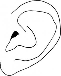 245x302 How To Draw A Realistic Human Ear Step Very Basic Figure