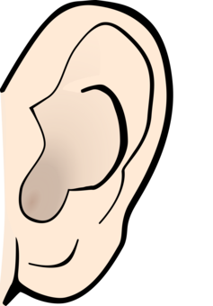 237x340 Collection Of Free Ears Drawing Abstract Download On Ui Ex