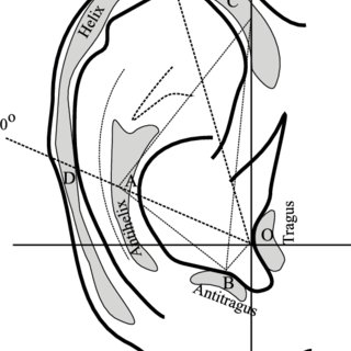 320x320 reference points for metrical characteristics