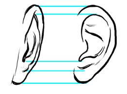 262x193 capture character drawing realistic facial features drawing