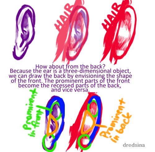 500x491 Character Design References