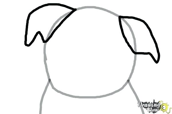600x400 How To Draw Dog Ears